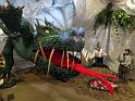 2014-03-08,_Kamelie (10)